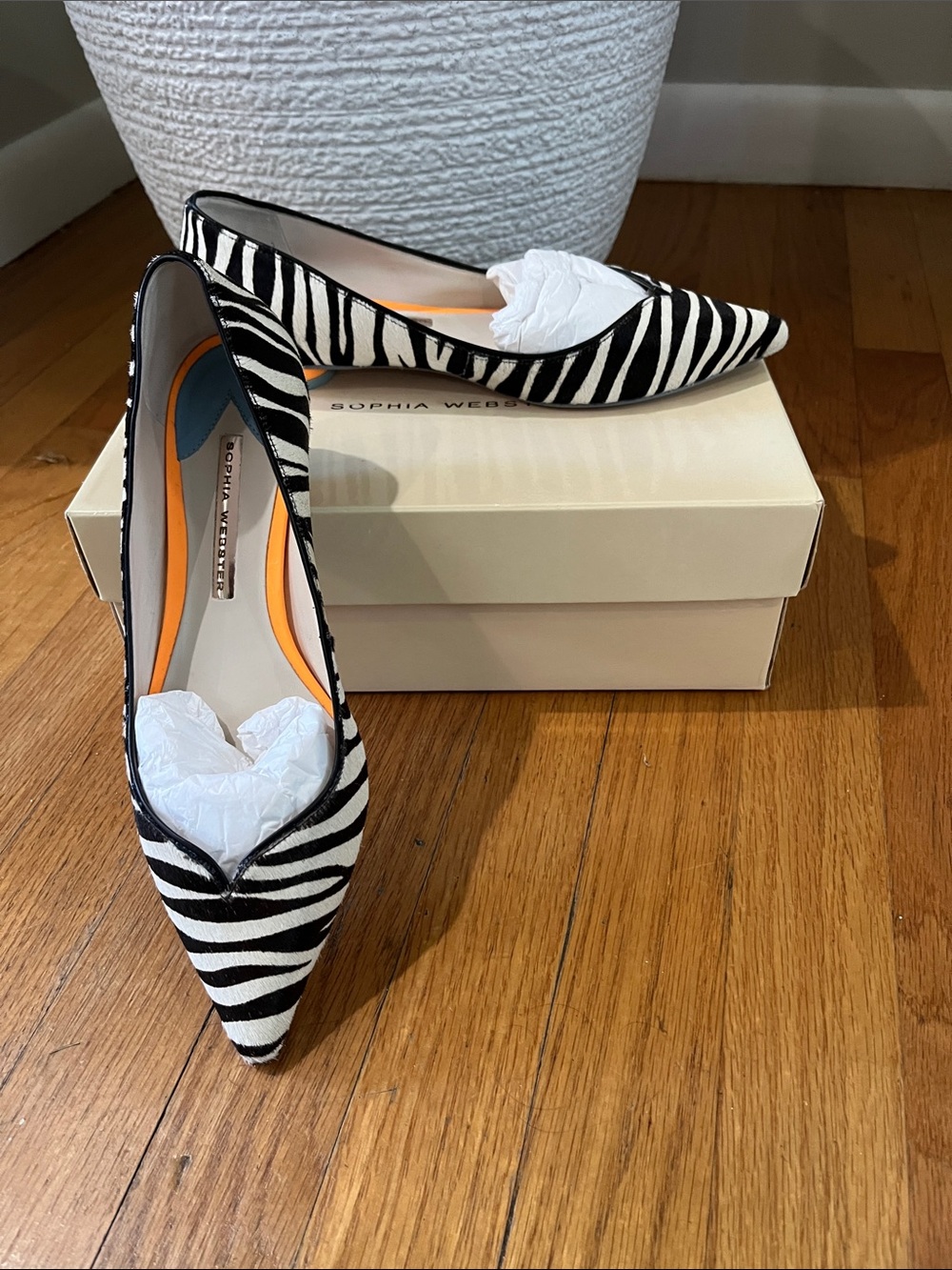 Sophia Webster Zebra-Print Pointed Flats in Black and White